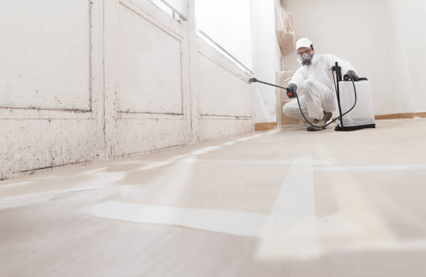 24/7 Emergency Attic Mold Removal experts in Round Hill, VA